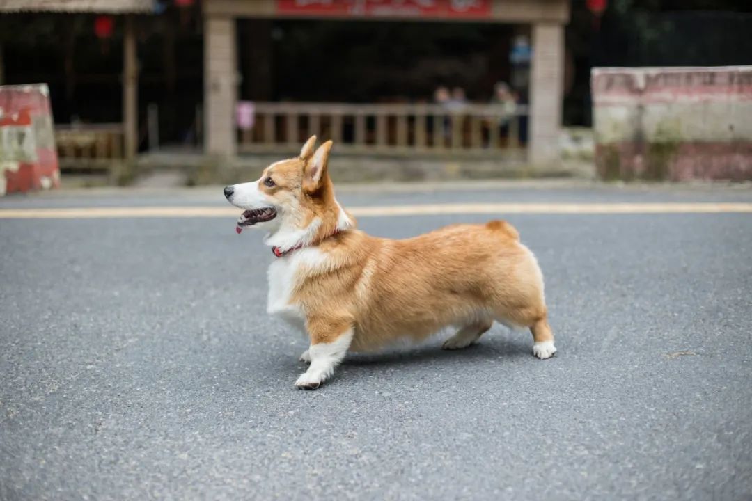 再见，，，，，，我的老朋友